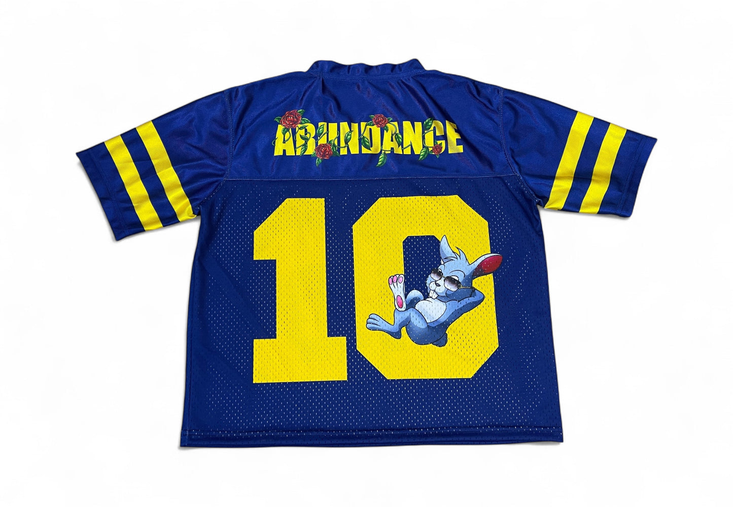 Blue & Yellow Rabbit & Co “Abundance” Jersey